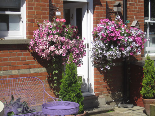 billericay-in-bloom-2013