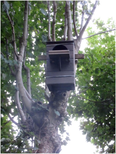 nesting-boxes