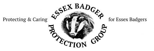 EBPG Logo Full Master